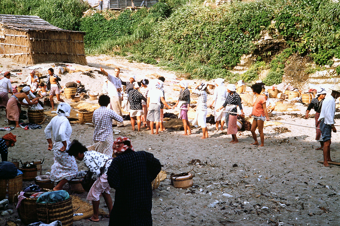 Japan 1954