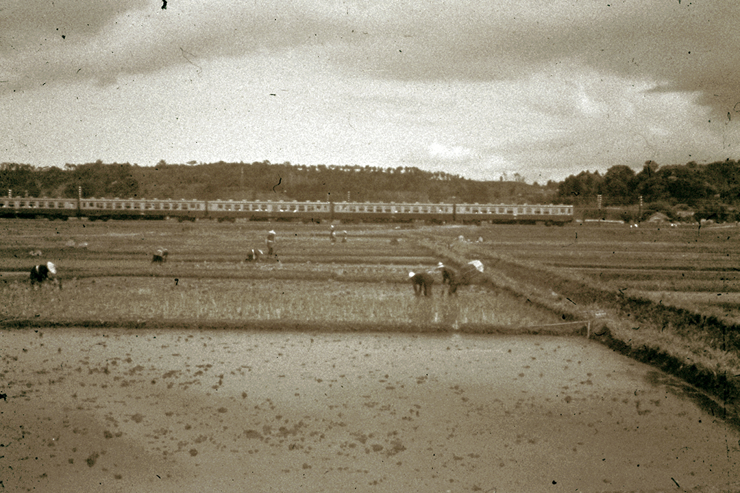 Japan 1954