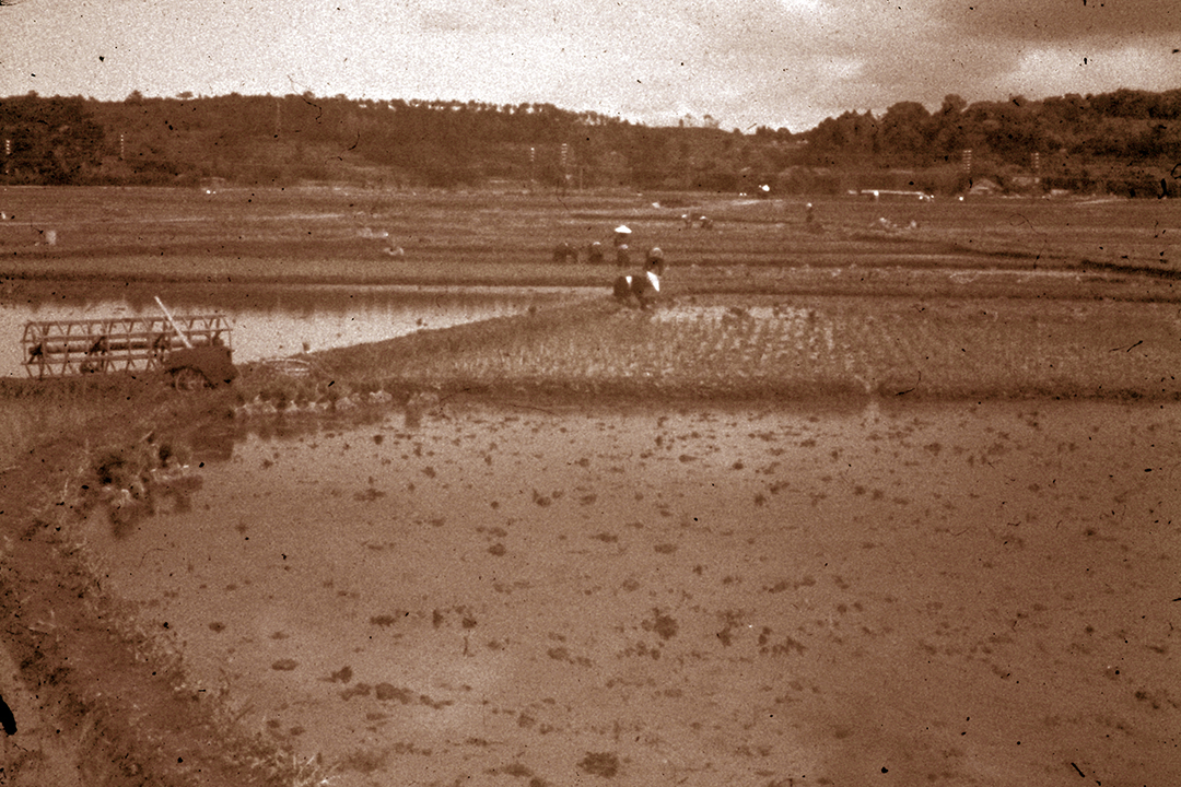 Japan 1954