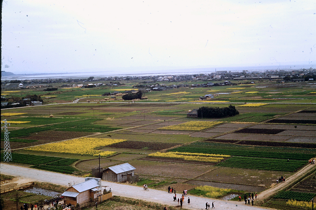 Japan 1954